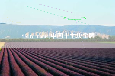 东明中国十七块金牌