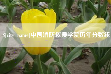 东明中国消防救援学院历年分数线