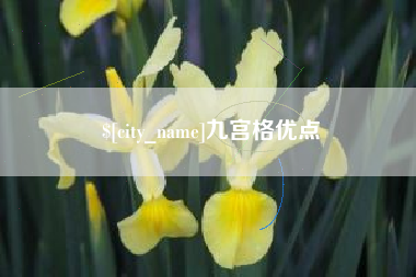 东明九宫格优点