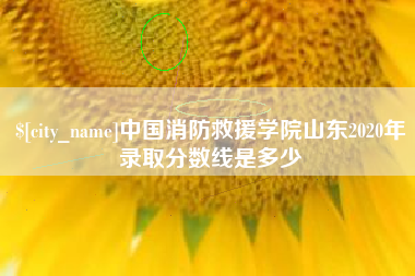 东明中国消防救援学院山东2020年录取分数线是多少