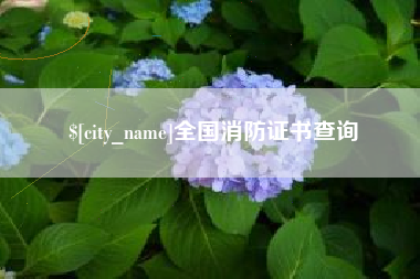 东明全国消防证书查询