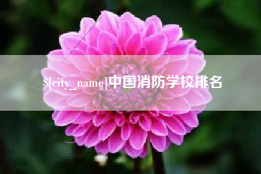 东明中国消防学校排名