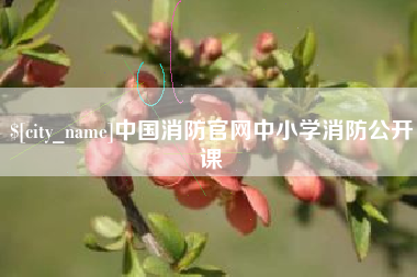 东明中国消防官网中小学消防公开课