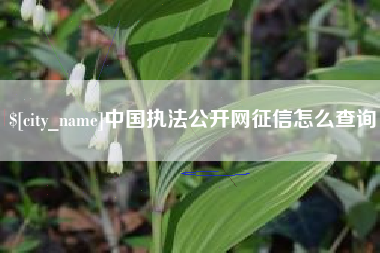 东明中国执法公开网征信怎么查询