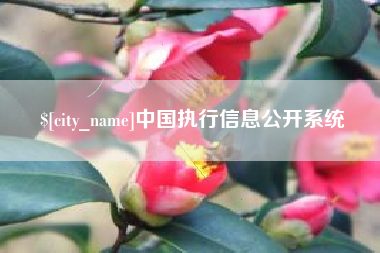 东明中国执行信息公开系统