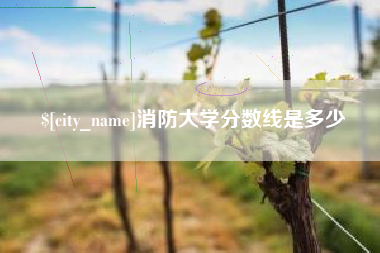 东明消防大学分数线是多少