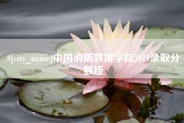 东明中国消防救援学院2019录取分数线