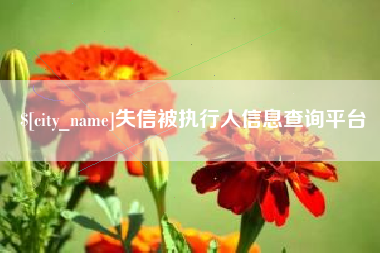 东明失信被执行人信息查询平台