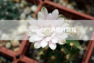 东明2021消防分数线