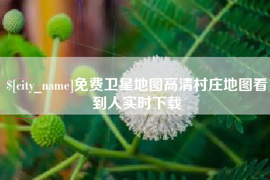 东明免费卫星地图高清村庄地图看到人实时下载