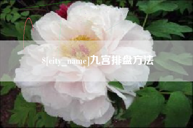 东明九宫排盘方法