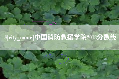 东明中国消防救援学院2018分数线