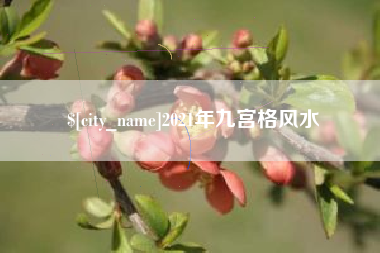 东明2021年九宫格风水