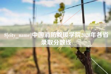 东明中国消防救援学院2020年各省录取分数线