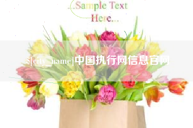 东明中国执行网信息官网