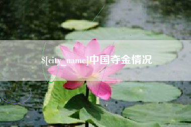 东明中国夺金情况