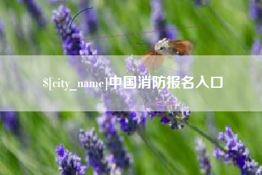 东明中国消防报名入口