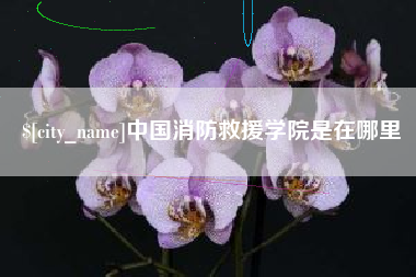 东明中国消防救援学院是在哪里