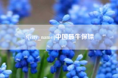 东明中国最牛保镖