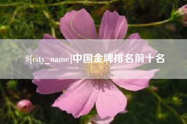 东明中国金牌排名前十名