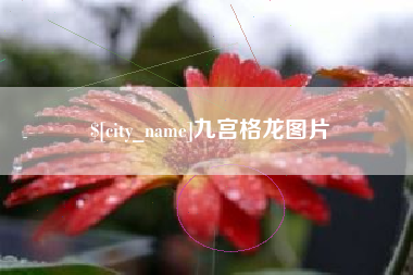 东明九宫格龙图片