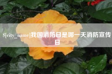 东明我国消防日是哪一天消防宣传日