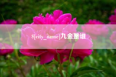 东明九金是谁