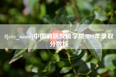 东明中国消防救援学院2019年录取分数线