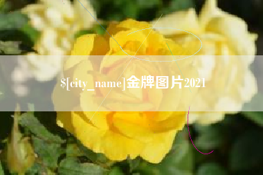 东明金牌图片2021
