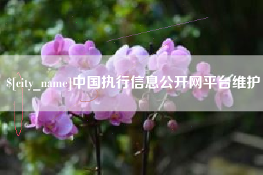 东明中国执行信息公开网平台维护