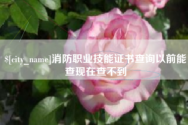 东明消防职业技能证书查询以前能查现在查不到
