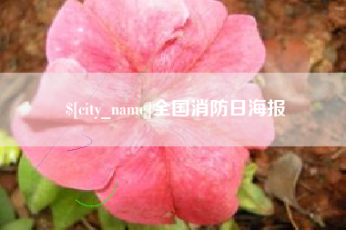 东明全国消防日海报