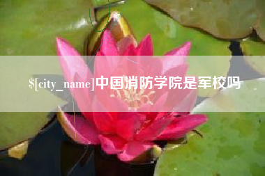 东明中国消防学院是军校吗