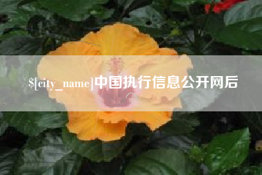 东明中国执行信息公开网后