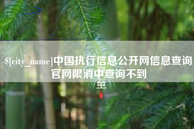 东明中国执行信息公开网信息查询官网限消中查询不到