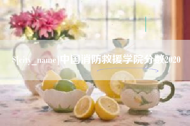 东明中国消防救援学院分数2020