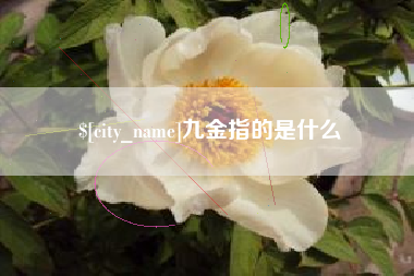 东明九金指的是什么