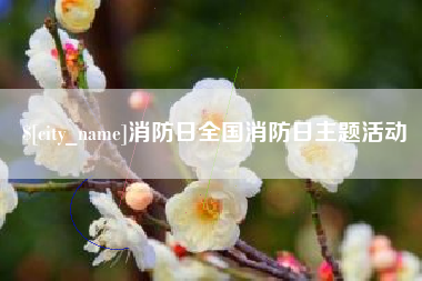 东明消防日全国消防日主题活动