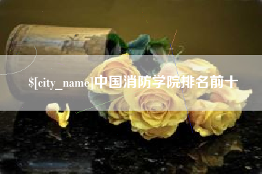 东明中国消防学院排名前十
