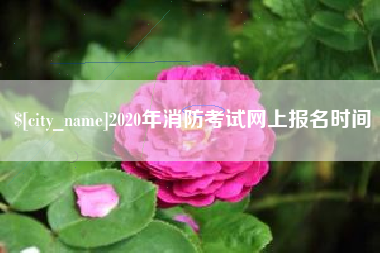 东明2020年消防考试网上报名时间