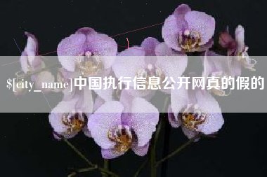 东明中国执行信息公开网真的假的