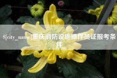 东明重庆消防设施操作员证报考条件