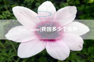 东明我国多少个金牌