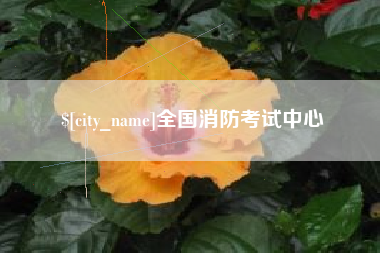 东明全国消防考试中心