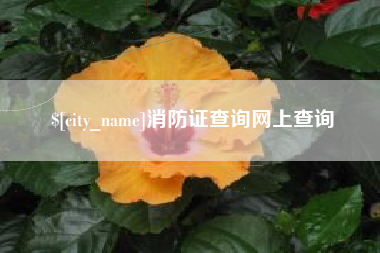 东明消防证查询网上查询