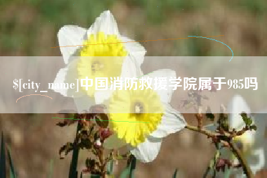 东明中国消防救援学院属于985吗