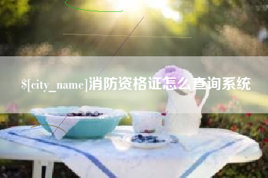 东明消防资格证怎么查询系统