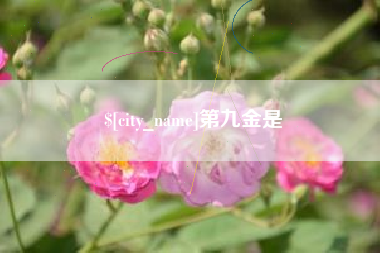 东明第九金是