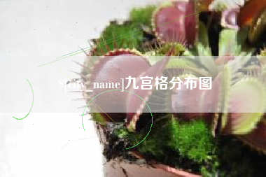 东明九宫格分布图