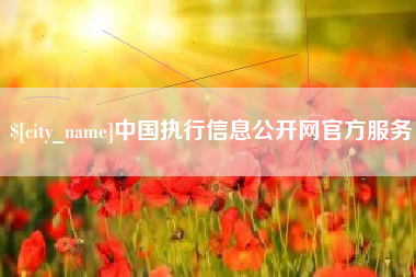 东明中国执行信息公开网官方服务